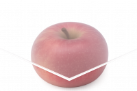 10491046 10491046